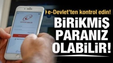 e-Devlet'ten kontrol edin! Paranız birikmiş olabilir