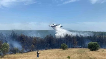 Eceabat’taki orman yangını devam ediyor
