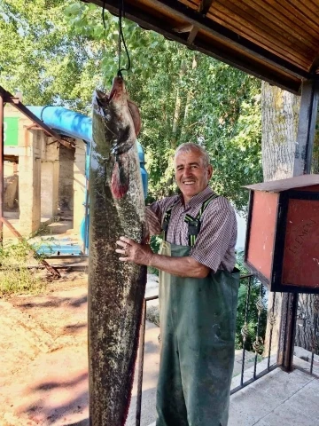 Edirne’de amatör balıkçı tam 40 kiloluk yayın balığı tuttu
