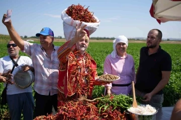 Edirne’de kavurucu sıcaklar Karaağaç biberinde hasadı geciktirdi
