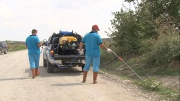 Edirne’de sivrisinek ilaçlaması için 4 milyon 200 bin liralık bütçe
