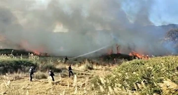 Edremit Ovası’nda korkutan yangın
