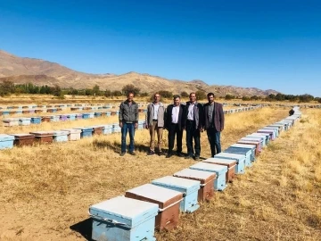 Elazığ’da arılı kovan denetimleri sürüyor
