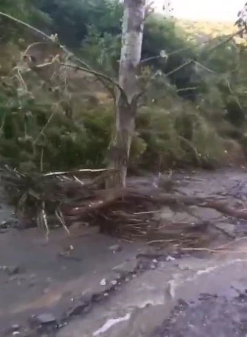 Elazığ’da sağanak yağış köy yollarını tahrip etti
