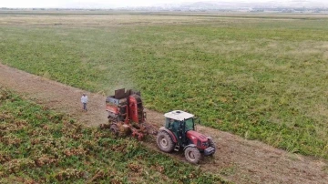 Elazığ’da şeker pancarı mesaisine başlayan çiftçiler fiyattan memnun
