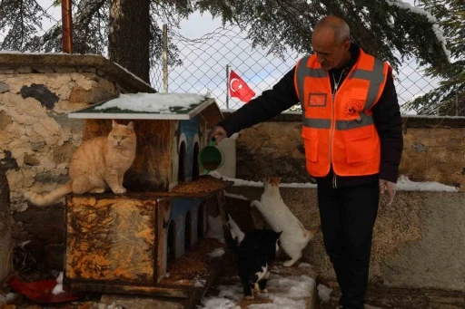 Elazığ’da sokak hayvanları için doğaya yem bırakıldı
