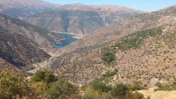 Elazığ’daki orman yangını söndürüldü
