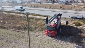 Elektrik direğinin tepesinde mahsur kalan kediyi itfaiye kurtardı
