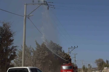 Elektrik hatlarını yıkayarak temizliyorlar
