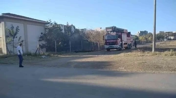 Elektrik trafosunun yanındaki yangın yürekleri ağza getirdi
