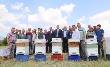 Emet’te arıcılık canlandırılıyor
