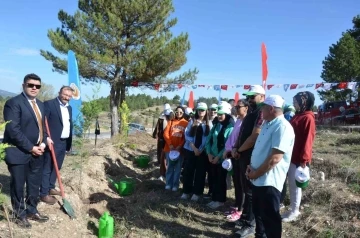 Emet’te fidan dikme etkinliği
