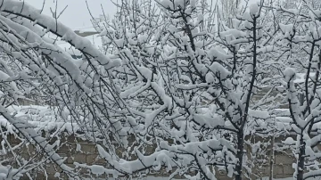 Erciş’te kar yağışı etkili oldu
