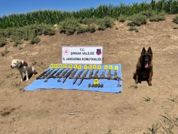 Eren Operasyonlarıyla PKK Terör Örgütüne Ait Cephane Ele Geçirildi