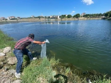 Ergene’deki göletlere balık bırakıldı
