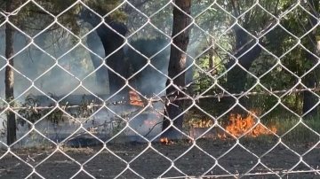 Erzincan’da aşırı sıcaklarla birlikte örtü yangınları arttı
