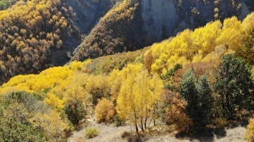 Erzincan’da sonbaharda renk cümbüşü
