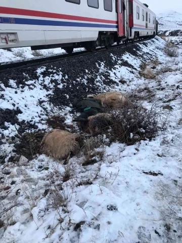 Erzincan’da trenin çarptığı çoban öldü
