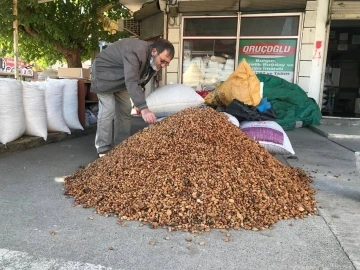 Erzincan’dan Malatya’ya 200 ton acı kayısı çekirdeği gönderiliyor
