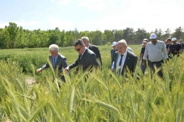 Erzurum’da 3 bin 800 svat törenle çiftçilere dağıtıldı
