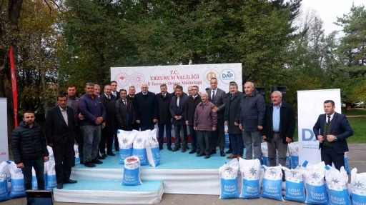 Erzurum’da DAP desteğiyle 935 ton buğday tohumu dağıtıldı
