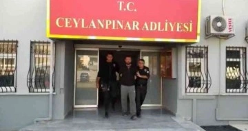 Eşine kalkan olmak isteyen polise saldırdı