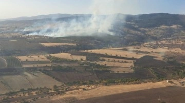 Eskişehir'de orman yangını