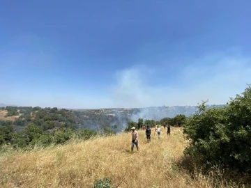 Eşme’de ağaçlı alanda çıkan yangın korkuttu
