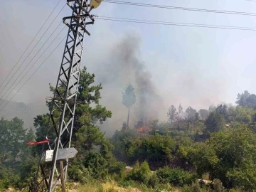 Evde çıkan yangın ormana sıçradı
