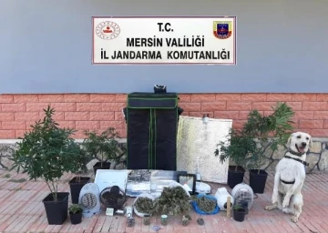 Evinde iklimlendirme sistemi kurarak uyuşturucu yetiştiren şüpheli tutuklandı