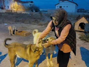 Evini sokak hayvanlarına açtı
