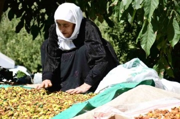 Evlerin damları kışlıklarla doldu