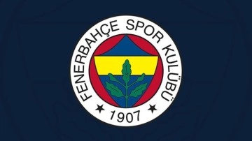 Fenerbahçe forması giyen Dimitris Pelkas, Hull City ile anlaştı