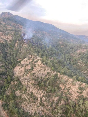 Fethiye’deki orman yangını kontrol altına alındı
