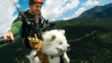 Film yönetmeni Shams, köpeği Ouka ile birlikte 1,5 aylık eğitimden sonra yamaç paraşütü yaptı
