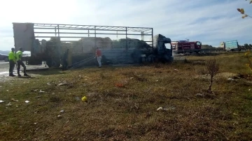 Fındık yüklü tır alevlere teslim oldu
