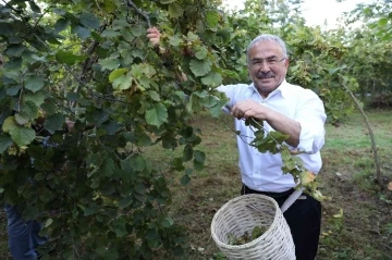 Fındıkta yerli işçi sıkıntısına ‘Hilmi Güler Modeli’
