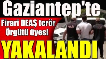 Firari DEAŞ terör örgütü üyesi yakalandı