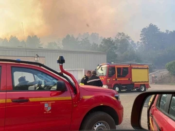 Fransa’da orman yangını: 620 hektarlık alan kül oldu
