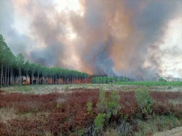 Fransa’da orman yangını evlere sıçradı
