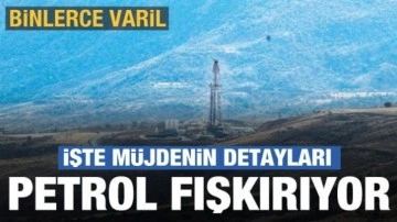 Gabar'dan petrol fışkırıyor! Müjdenin detayları açıklandı...Binlerce varil