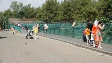 Gaziantep Doğal Yaşam Parkı’na ziyaretçi akını
