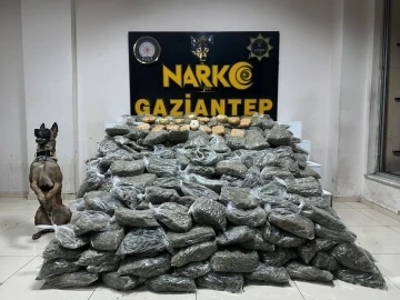 Gaziantep’te 170 kilogram skunk ele geçirildi
