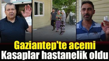 Gaziantep'te acemi kasaplar hastanelik oldu