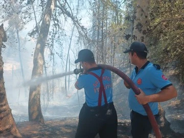 Gaziantep'te çıkan orman yangını itfaiye ekiplerinin müdahalesi ile söndürüldü