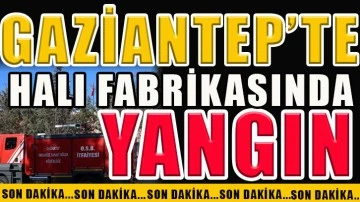 Gaziantep'te Halı Fabrikasında Yangın