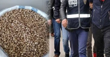 Gaziantep’te Jandarma Fıstık hırsızlarına göz açtırmayacak!