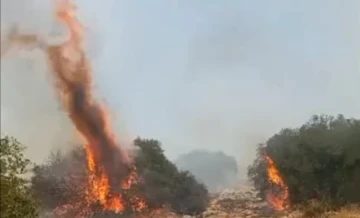 Gaziantep'te korkutan yangın! Havadan söndürme bekleniyor  