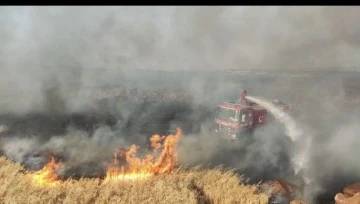 Gaziantep'te korkutan yangın! Söndürülemeyen yangın, Doğalgaz Dağıtım Merkezi'ne doğru ilerliyor