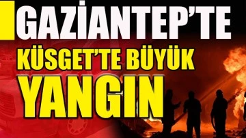 Gaziantep'te orman ürünleri fabrikasında korkutan yangın!